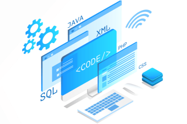 custom software development services