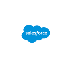 Salesforce Partner